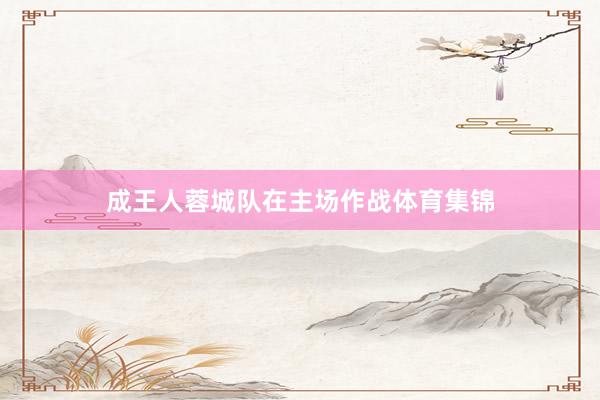 成王人蓉城队在主场作战体育集锦