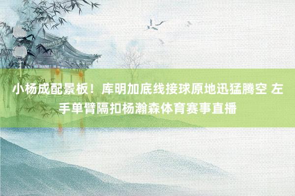 小杨成配景板！库明加底线接球原地迅猛腾空 左手单臂隔扣杨瀚森体育赛事直播
