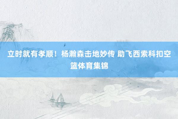 立时就有孝顺！杨瀚森击地妙传 助飞西索科扣空篮体育集锦