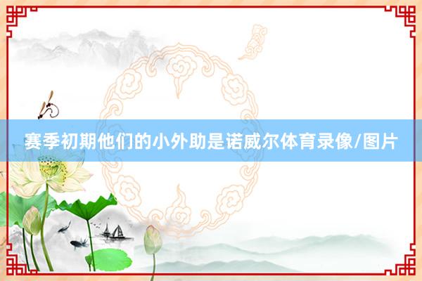 赛季初期他们的小外助是诺威尔体育录像/图片