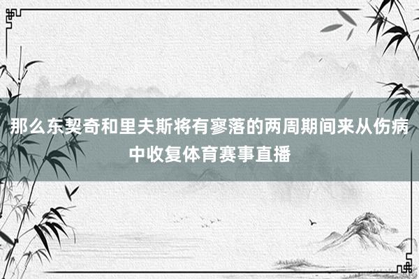 那么东契奇和里夫斯将有寥落的两周期间来从伤病中收复体育赛事直播
