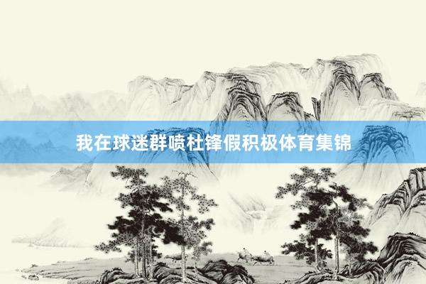 我在球迷群喷杜锋假积极体育集锦