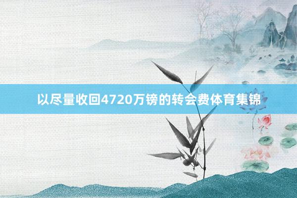 以尽量收回4720万镑的转会费体育集锦