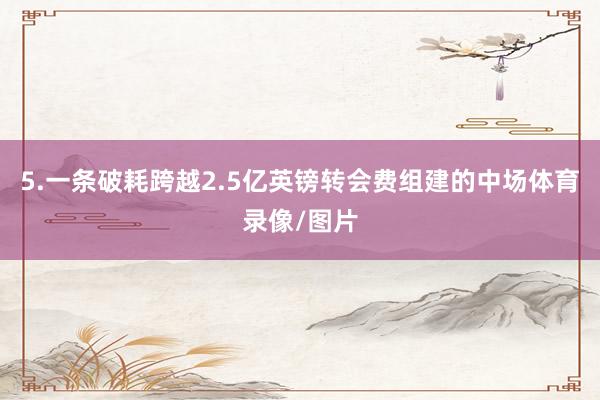 5.一条破耗跨越2.5亿英镑转会费组建的中场体育录像/图片