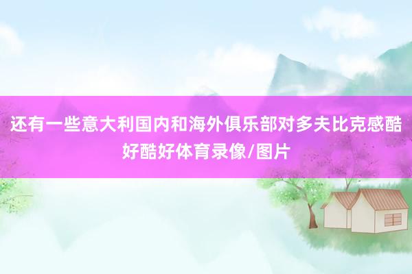 还有一些意大利国内和海外俱乐部对多夫比克感酷好酷好体育录像/图片