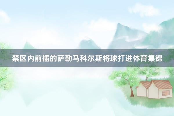 禁区内前插的萨勒马科尔斯将球打进体育集锦